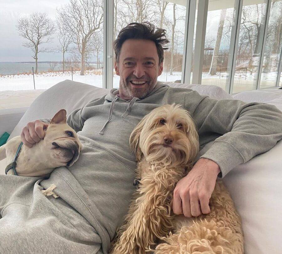 Hugh Jackman perros sonriendo