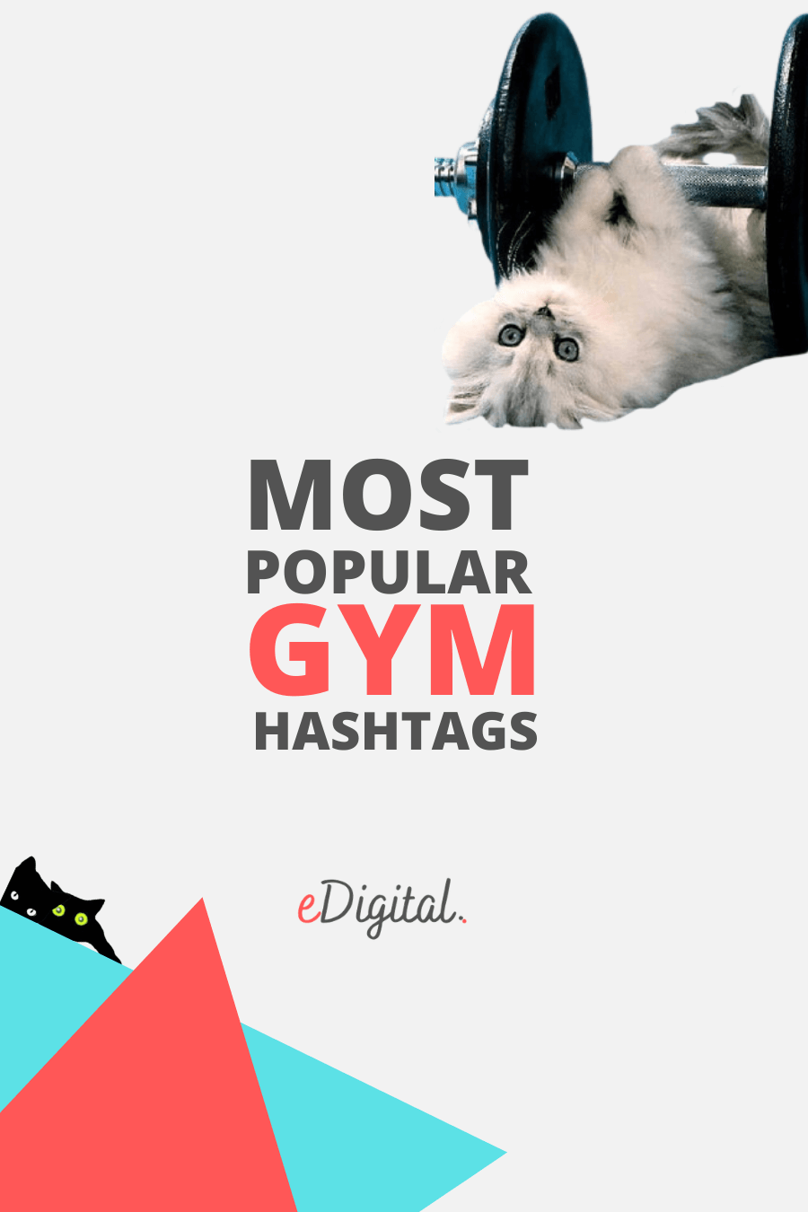 Los hashtags más populares del gimnasio en Instagram