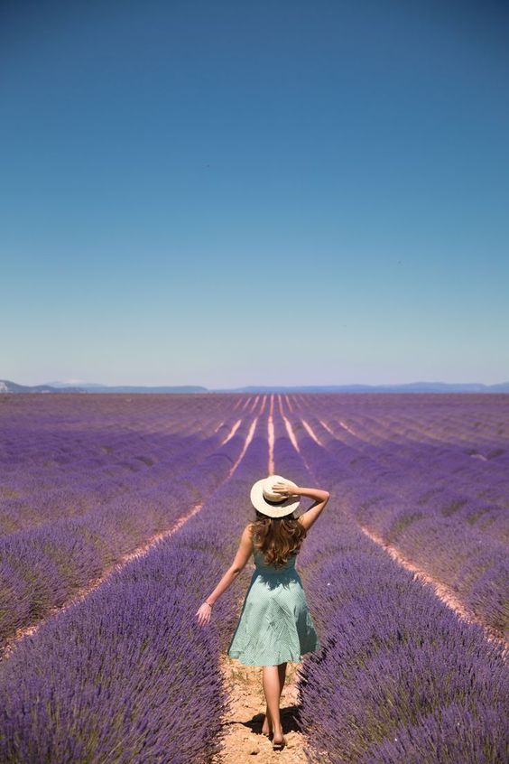 detrás ángulo perspectiva trasera fotografía creativa idea ejemplo lavanda festival provenza francia mujer vestido sombrero sombrero