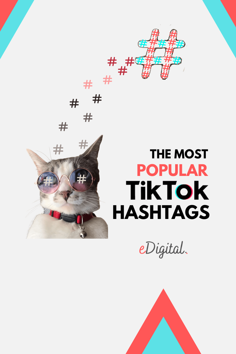 hashtags más populares de TikTok