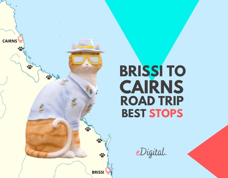 Viaje por carretera de Brisbane a Cairns - mejores paradas