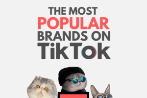 LAS 10 MARCAS MÁS POPULARES EN TIKTOK EN 2023