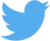 Twitter logo png icon extra small