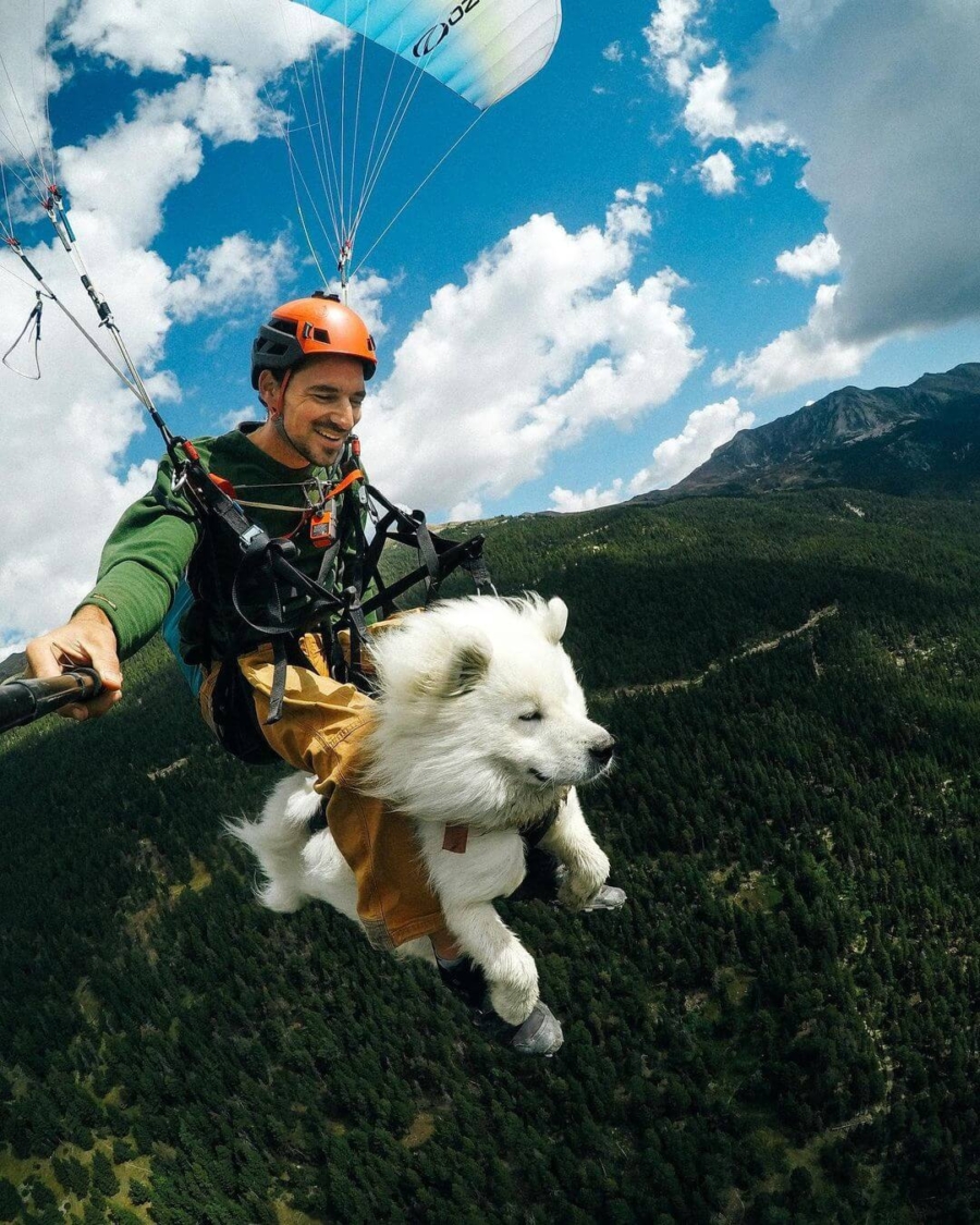 Shams perro parapente Col du Granon Alpes Francia